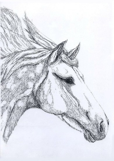 horse1