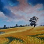 Late Afternoon Sun NEW