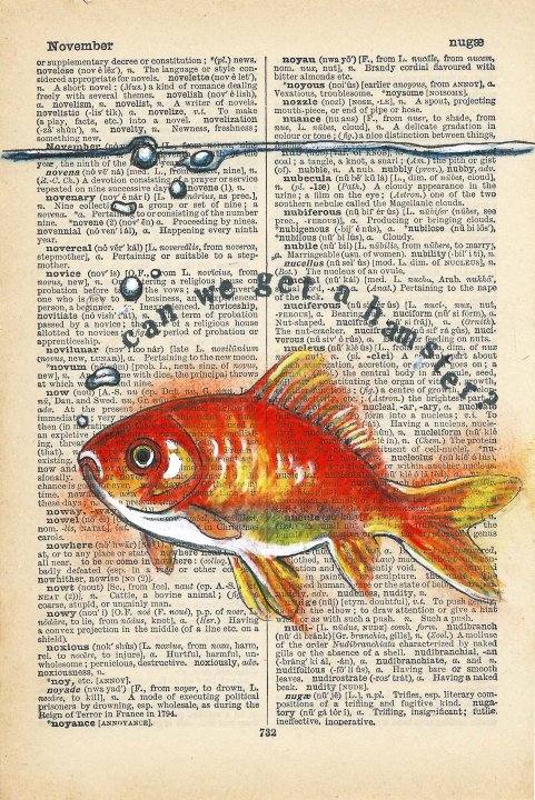 Novelty : can we get a hamster?