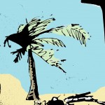 palm tree