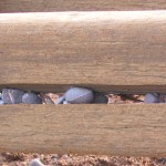 Pebbles in the Breakwater