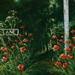 Poppies in Shephards Lane SOLD