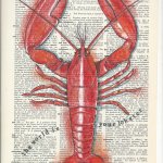 Red : the world is your lobster