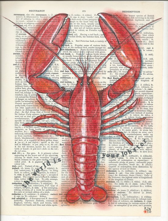 Red : the world is your lobster