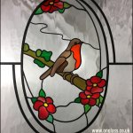 Robin bird in winter