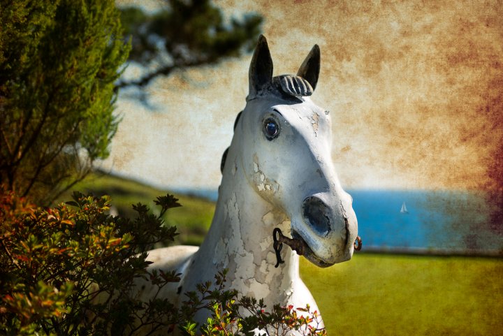 'Sea Horse' - Talland Bay, Cornwall