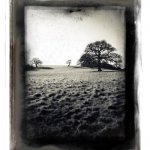 Solitude, Ashprington Point, The River Dart