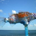 Swimming for a Clean Teign