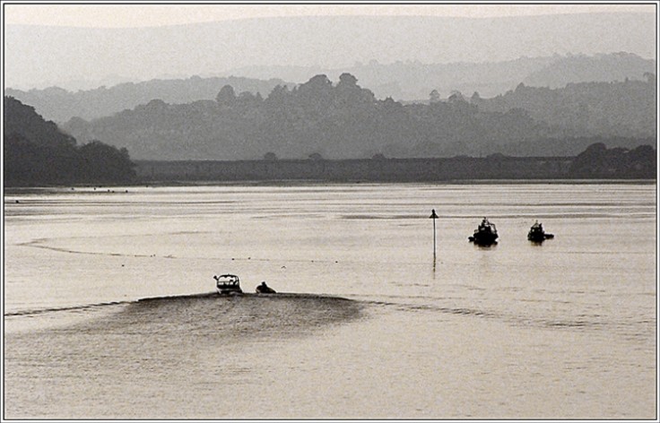 Teign estuary