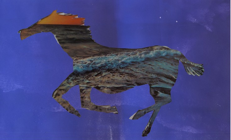 The horse and the sea