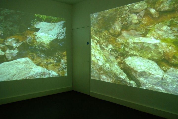 The Inner Quarry (2)