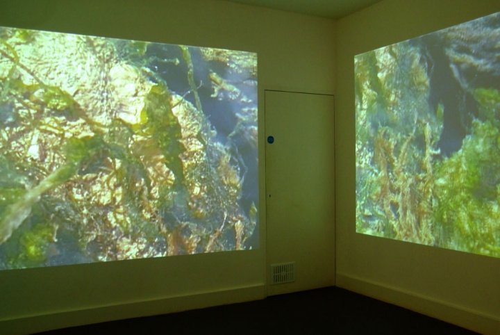 The Inner Quarry (5)