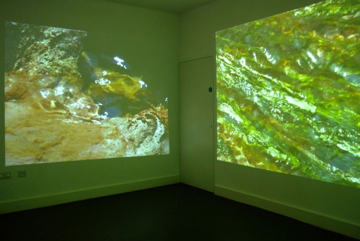 The Inner Quarry (4)