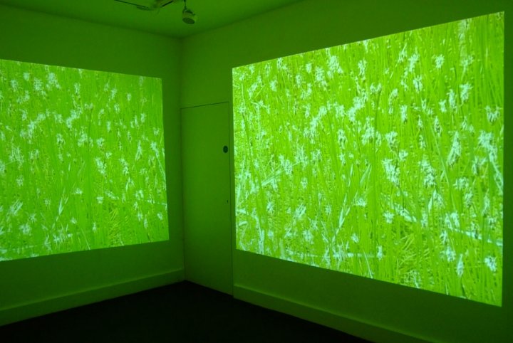 The Inner Quarry (6)