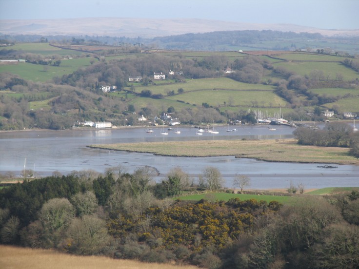 The River Tamar - view across the Valley from Pentillie Castle