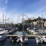 Torquay wheel