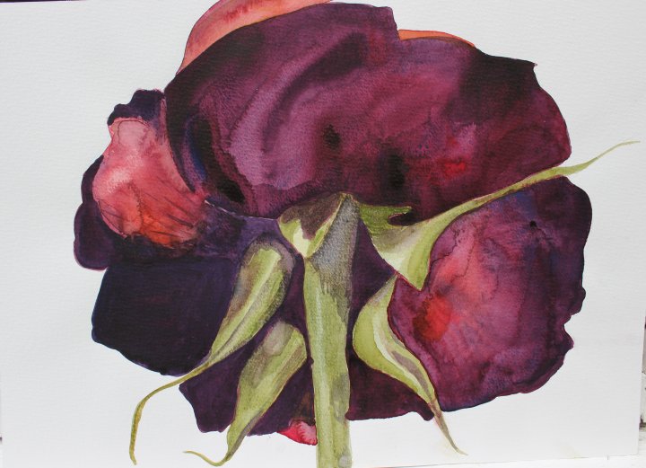 watercolour by current tenant