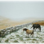 Winter on Dartmoor