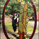 Woodpecker glass pattern window design