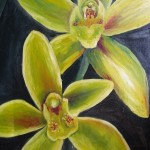 Yellow Orchids