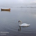 DAVID BLAKELEY - Misty dawn Combeinteignhead