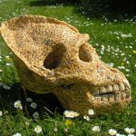 Gallery exhibition at