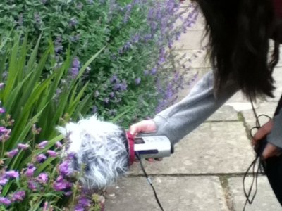 Summer of Learning at Soundart Radio 102.5fm