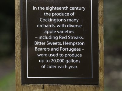 Torbay Connected: Connecting People to Place through Art......