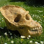 TRAIL Gallery Exhibition 4th August to 7th September