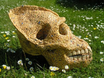 TRAIL Gallery Exhibition 4th August to 7th September