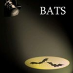 Brixham Arts & Theatre Society ( / BATS (Brixham Arts & Theatre Scoiety)