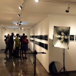 Green Hill Arts / Gallery