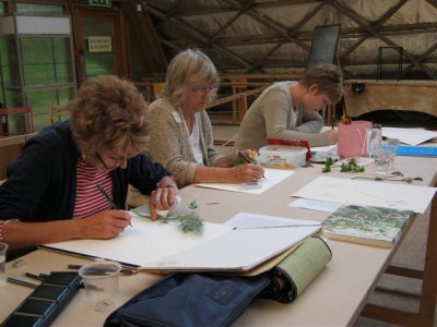 Botanical illustration: the cottage garden