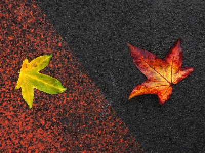 Extraordinarily Ordinary - Photography Exhibition by Ken Scott