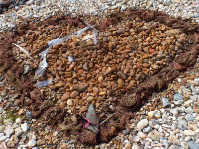 Littlehampton Shoreline Sculpture