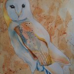 Kevin the Barnowl
