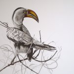 desiree hart / Wildlife Artist